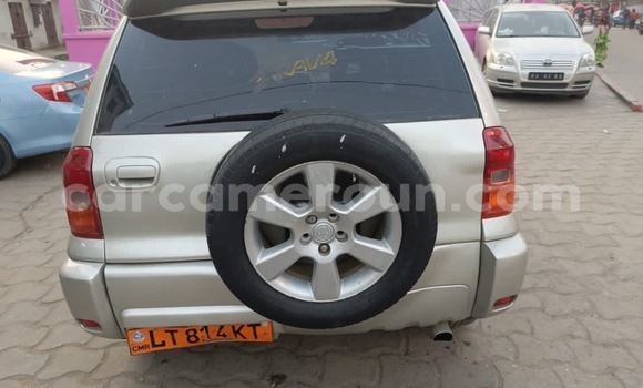 Buy New Toyota RAV4 Silver Car in Douala in Littoral Cameroon Buy New Toyota RAV4 Silver Car in Douala in Littoral Cameroon