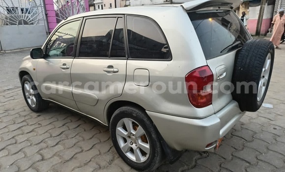 Buy New Toyota RAV4 Silver Car in Douala in Littoral Cameroon Buy New Toyota RAV4 Silver Car in Douala in Littoral Cameroon