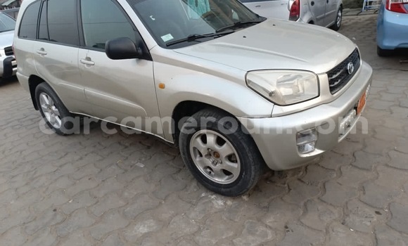 Buy New Toyota RAV4 Silver Car in Douala in Littoral Cameroon Buy New Toyota RAV4 Silver Car in Douala in Littoral Cameroon