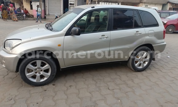 Buy New Toyota RAV4 Silver Car in Douala in Littoral Cameroon Buy New Toyota RAV4 Silver Car in Douala in Littoral Cameroon