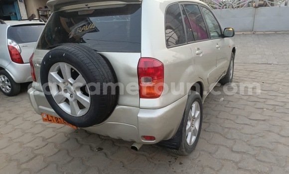 Buy New Toyota RAV4 Silver Car in Douala in Littoral Cameroon Buy New Toyota RAV4 Silver Car in Douala in Littoral Cameroon