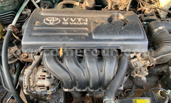 Acheter Neuf Voiture Toyota Corolla Vert à Yaoundé, Central Cameroon Acheter Neuf Voiture Toyota Corolla Vert à Yaoundé, Central Cameroon