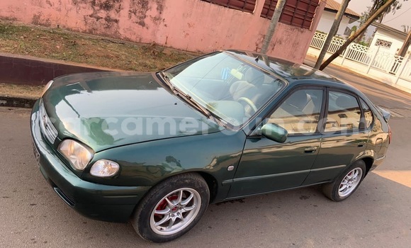 Acheter Neuf Voiture Toyota Corolla Vert à Yaoundé, Central Cameroon Acheter Neuf Voiture Toyota Corolla Vert à Yaoundé, Central Cameroon