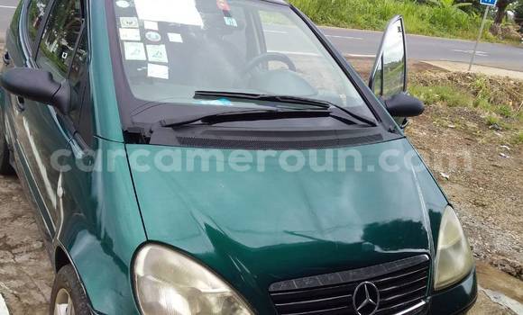Sayi Na hannu Mercedes Viano Green Mota in Douala a Ƙasar Kamaru