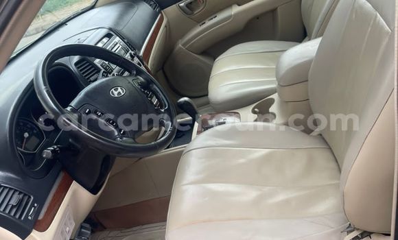 Acheter Occasion Voiture Hyundai Santa Fe Gris à Douala, Littoral Cameroon Acheter Occasion Voiture Hyundai Santa Fe Gris à Douala, Littoral Cameroon