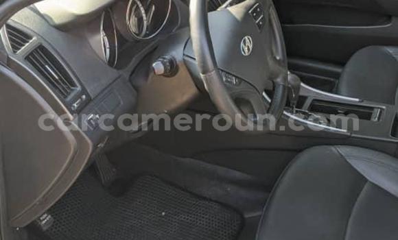 Acheter Occasion Voiture Hyundai Sonata Noir à Douala, Littoral Cameroon Acheter Occasion Voiture Hyundai Sonata Noir à Douala, Littoral Cameroon