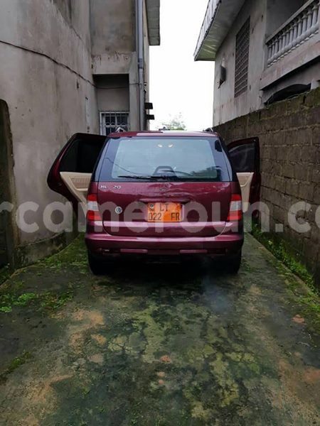 Big with watermark 30623955 578122035882356 6857030771144654848 n