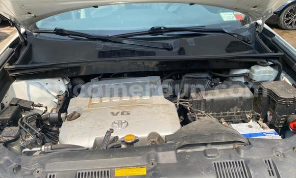 Buy Used Toyota Highlander White Car in Douala in Littoral Cameroon Buy Used Toyota Highlander White Car in Douala in Littoral Cameroon