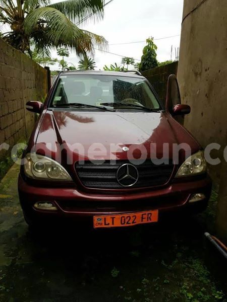 Big with watermark 30629329 194112211393369 244064733525704704 n