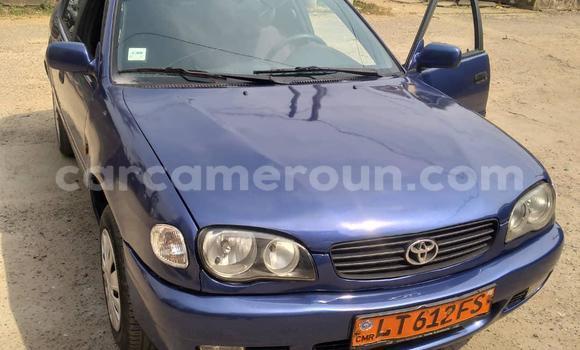 Buy Used Toyota Corolla Blue Car in Douala in Littoral Cameroon