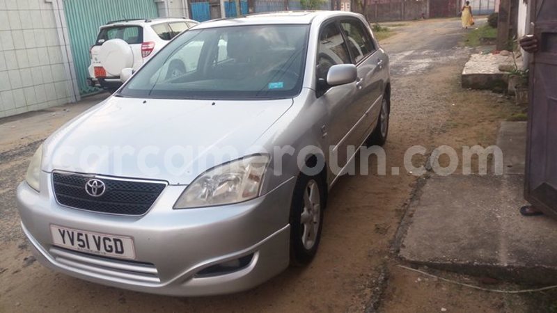 Big with watermark 30629329 194112211393369 244064733525704704 n