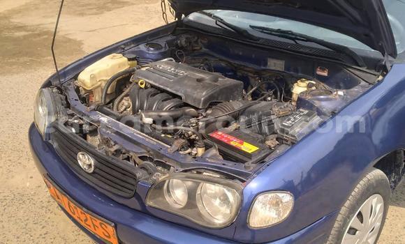 Acheter Occasion Voiture Toyota Corolla Bleu à Douala, Littoral Cameroon Acheter Occasion Voiture Toyota Corolla Bleu à Douala, Littoral Cameroon