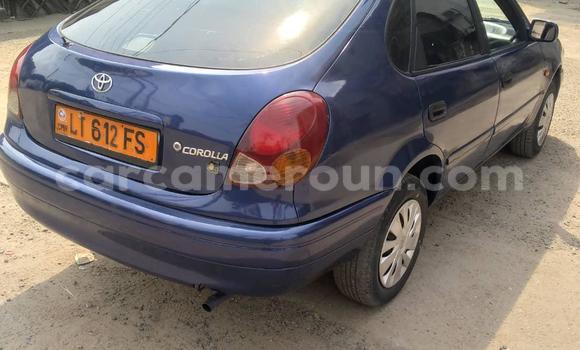 Acheter Occasion Voiture Toyota Corolla Bleu à Douala, Littoral Cameroon Acheter Occasion Voiture Toyota Corolla Bleu à Douala, Littoral Cameroon