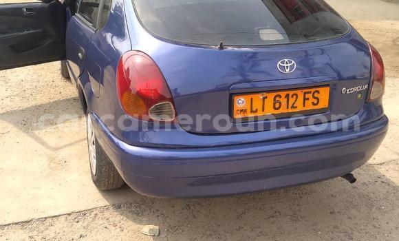 Acheter Occasion Voiture Toyota Corolla Bleu à Douala, Littoral Cameroon Acheter Occasion Voiture Toyota Corolla Bleu à Douala, Littoral Cameroon