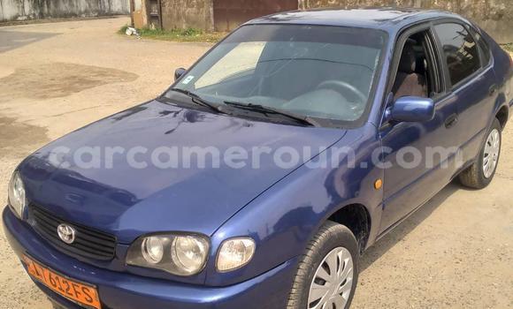 Acheter Occasion Voiture Toyota Corolla Bleu à Douala, Littoral Cameroon Acheter Occasion Voiture Toyota Corolla Bleu à Douala, Littoral Cameroon