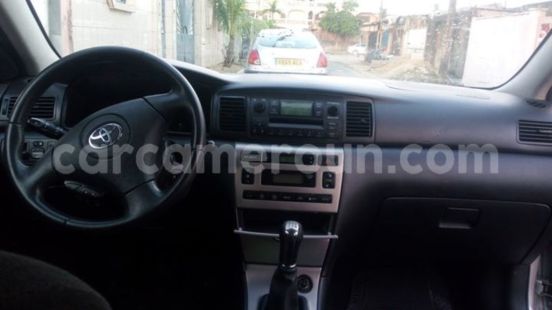 Big with watermark 30705011 1080215435450894 1812932972978896896 n