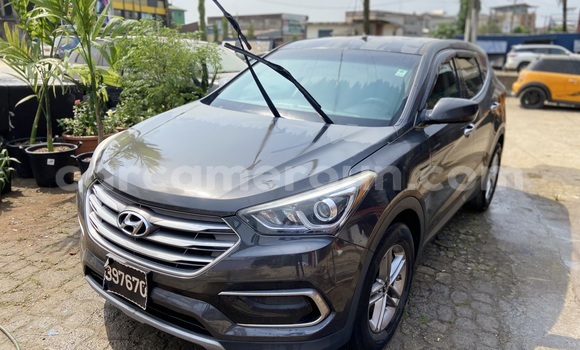 Acheter Import Voiture Hyundai Santa Fe Gris à Douala, Littoral Cameroon