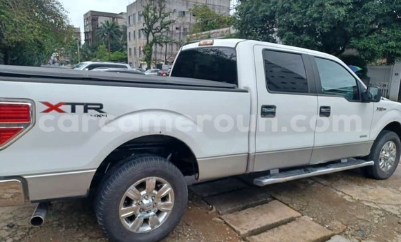 Sayi Sabo Ford F–150 White Mota in Douala a Ƙasar Kamaru Sayi Sabo Ford F–150 White Mota in Douala a Ƙasar Kamaru