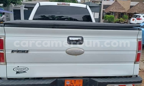 Sayi Sabo Ford F–150 White Mota in Douala a Ƙasar Kamaru Sayi Sabo Ford F–150 White Mota in Douala a Ƙasar Kamaru