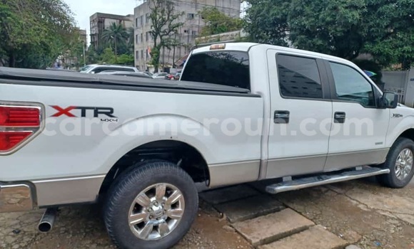 Sayi Sabo Ford F–150 White Mota in Douala a Ƙasar Kamaru Sayi Sabo Ford F–150 White Mota in Douala a Ƙasar Kamaru