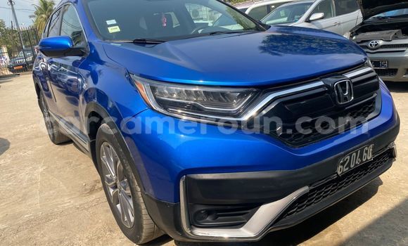 Buy Import Honda CR–V Blue Car in Douala in Littoral Cameroon
