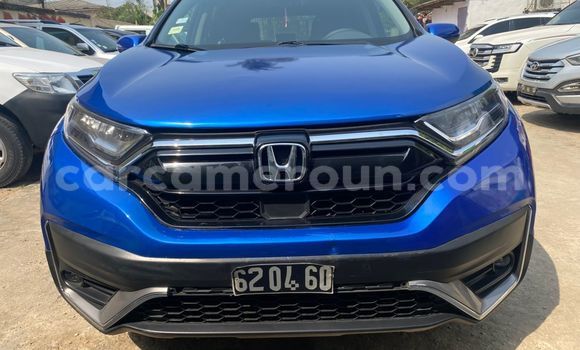 Buy Import Honda CR–V Blue Car in Douala in Littoral Cameroon Buy Import Honda CR–V Blue Car in Douala in Littoral Cameroon