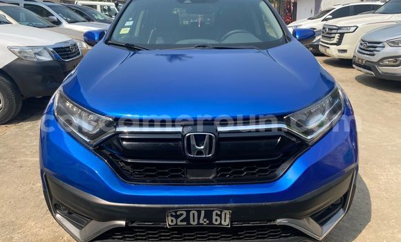 Buy Import Honda CR–V Blue Car in Douala in Littoral Cameroon Buy Import Honda CR–V Blue Car in Douala in Littoral Cameroon