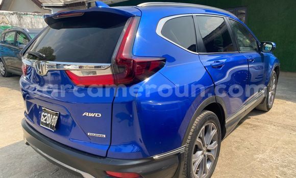 Buy Import Honda CR–V Blue Car in Douala in Littoral Cameroon Buy Import Honda CR–V Blue Car in Douala in Littoral Cameroon