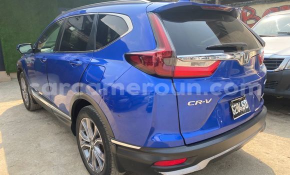 Buy Import Honda CR–V Blue Car in Douala in Littoral Cameroon Buy Import Honda CR–V Blue Car in Douala in Littoral Cameroon