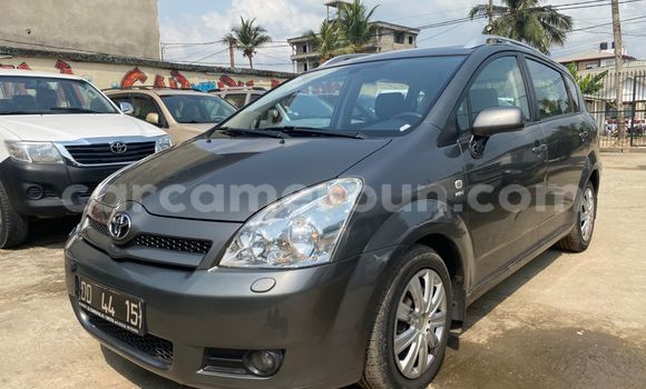 Buy Import Toyota Corolla Verso Silver Car in Douala in Littoral Cameroon