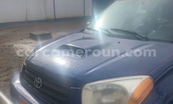 Acheter Occasion Voiture Toyota RAV4 Bleu à Bertoua, East Cameroon Acheter Occasion Voiture Toyota RAV4 Bleu à Bertoua, East Cameroon