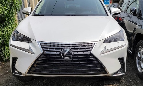 Acheter Occasion Voiture Lexus NX Blanc à Douala, Littoral Cameroon