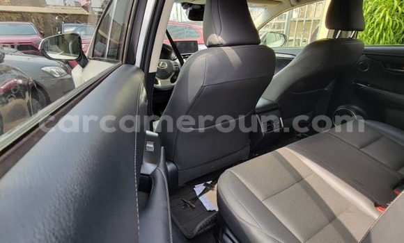 Acheter Occasion Voiture Lexus NX Blanc à Douala, Littoral Cameroon Acheter Occasion Voiture Lexus NX Blanc à Douala, Littoral Cameroon