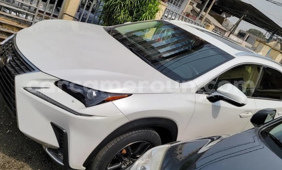 Acheter Occasion Voiture Lexus NX Blanc à Douala, Littoral Cameroon Acheter Occasion Voiture Lexus NX Blanc à Douala, Littoral Cameroon