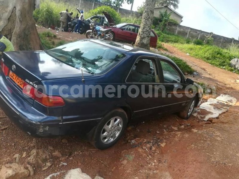 Big with watermark 30623955 578122035882356 6857030771144654848 n