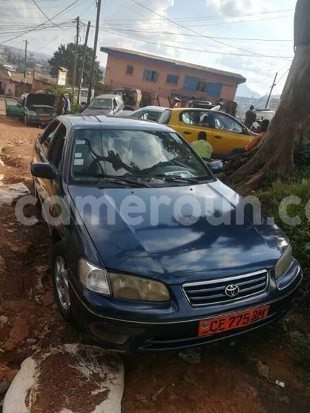 Big with watermark 30629329 194112211393369 244064733525704704 n