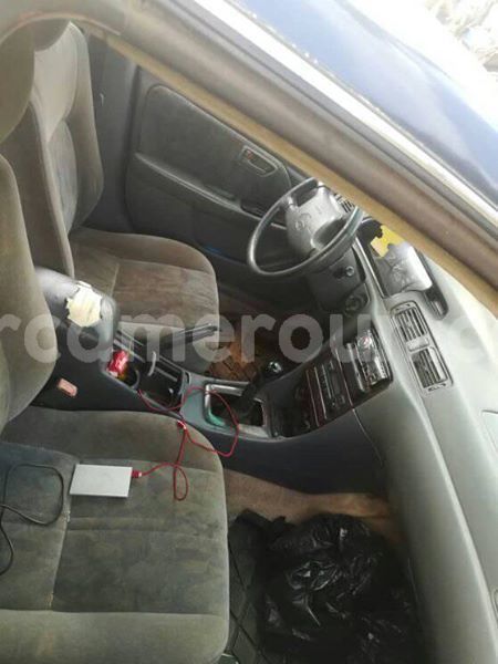 Big with watermark 30705011 1080215435450894 1812932972978896896 n