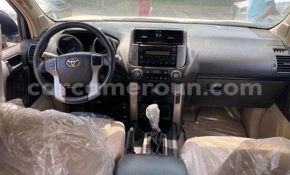 Acheter Occasion Voiture Toyota Prado Blanc à Douala, Littoral Cameroon Acheter Occasion Voiture Toyota Prado Blanc à Douala, Littoral Cameroon