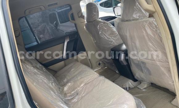 Acheter Occasion Voiture Toyota Prado Blanc à Douala, Littoral Cameroon Acheter Occasion Voiture Toyota Prado Blanc à Douala, Littoral Cameroon