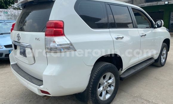 Acheter Occasion Voiture Toyota Prado Blanc à Douala, Littoral Cameroon Acheter Occasion Voiture Toyota Prado Blanc à Douala, Littoral Cameroon