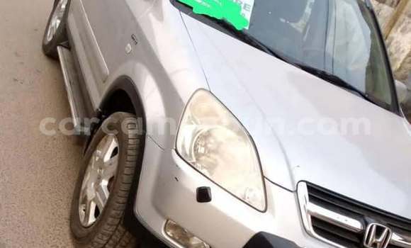 Acheter Occasion Voiture Honda CR–V Autre à Douala, Littoral Cameroon Acheter Occasion Voiture Honda CR–V Autre à Douala, Littoral Cameroon