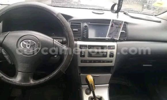Buy Used Toyota Corolla Other Car in Douala in Littoral Cameroon Buy Used Toyota Corolla Other Car in Douala in Littoral Cameroon