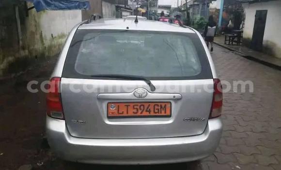 Buy Used Toyota Corolla Other Car in Douala in Littoral Cameroon Buy Used Toyota Corolla Other Car in Douala in Littoral Cameroon