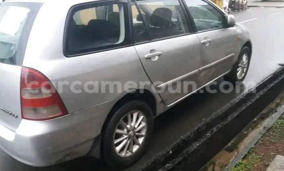 Buy Used Toyota Corolla Other Car in Douala in Littoral Cameroon Buy Used Toyota Corolla Other Car in Douala in Littoral Cameroon