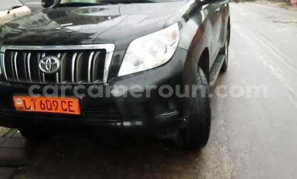Sayi Na hannu Toyota Land Cruiser Prado Brown Mota in Douala a Ƙasar Kamaru