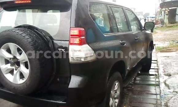 Buy Used Toyota Land Cruiser Prado Brown Car in Douala in Littoral Cameroon Buy Used Toyota Land Cruiser Prado Brown Car in Douala in Littoral Cameroon