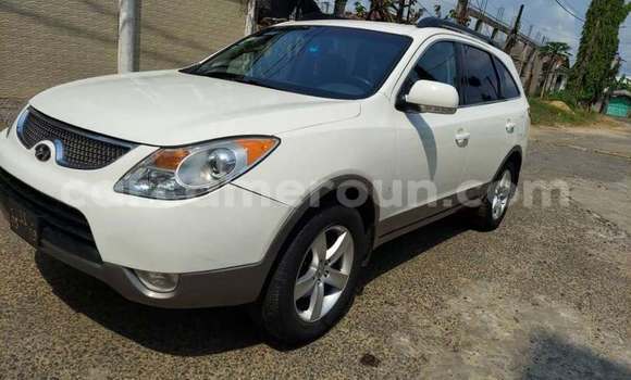 Buy Used Hyundai Veracruz White Car in Douala in Littoral Cameroon