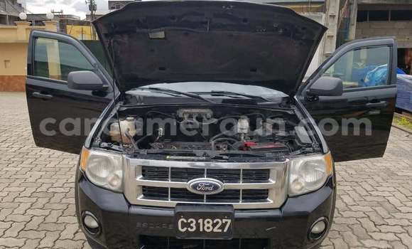 Sayi Na hannu Ford Escape Black Mota in Douala a Ƙasar Kamaru