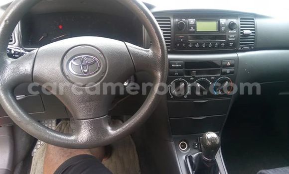 Acheter Occasion Voiture Toyota Corolla Rouge à Douala, Littoral Cameroon Acheter Occasion Voiture Toyota Corolla Rouge à Douala, Littoral Cameroon