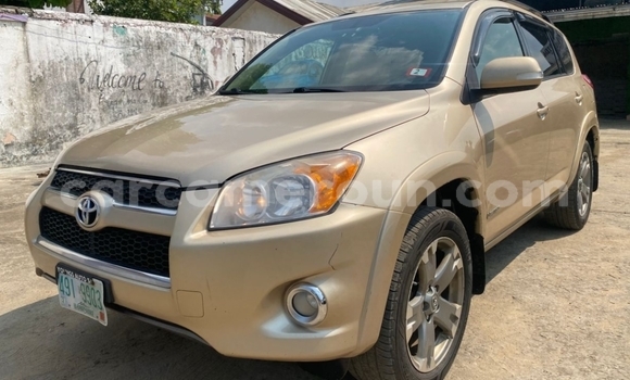 Buy Import Toyota RAV4 Beige Car in Douala in Littoral Cameroon